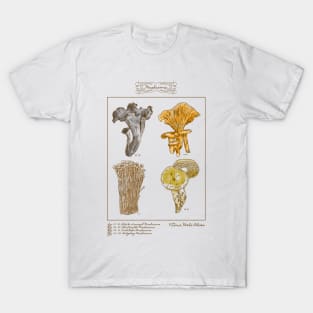 Mushrooms T-Shirt